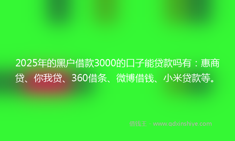 2025年的黑户借款3000的口子能贷款吗有：惠商贷、你我贷、360借条、微博借钱、小米贷款等。