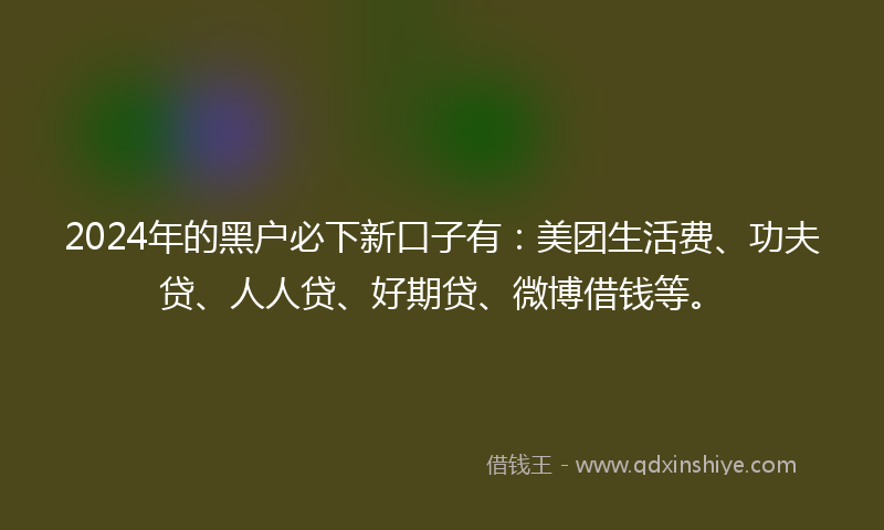 2024年的黑户必下新口子有：美团生活费、功夫贷、人人贷、好期贷、微博借钱等。