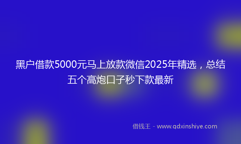 黑户借款5000元马上放款微信2025年精选，总结五个高炮口子秒下款最新