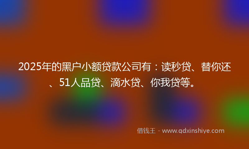 2025年的黑户小额贷款公司有：读秒贷、替你还、51人品贷、滴水贷、你我贷等。