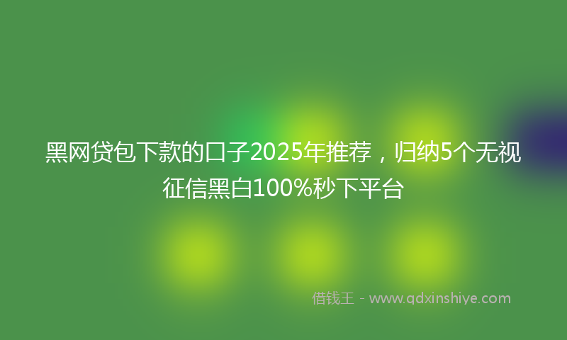 黑网贷包下款的口子2025年推荐，归纳5个无视征信黑白100%秒下平台