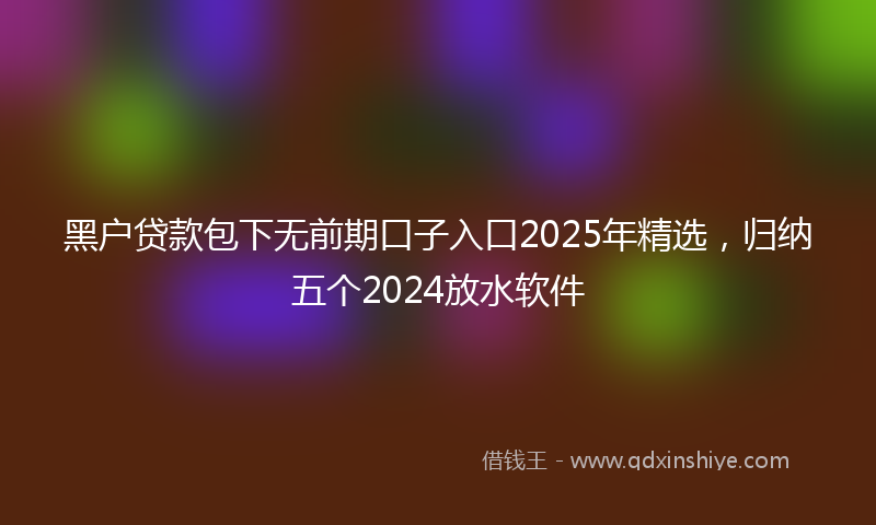 黑户贷款包下无前期口子入口2025年精选，归纳五个2024放水软件