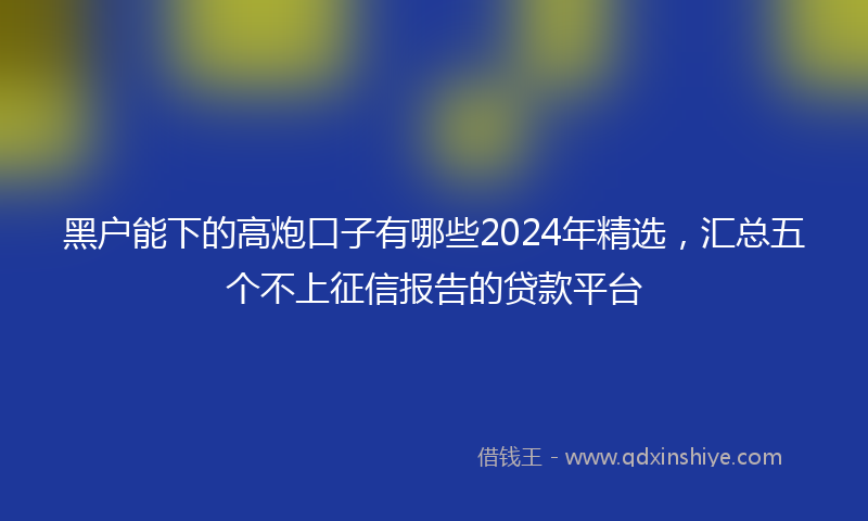 黑户能下的高炮口子有哪些2024年精选，汇总五个不上征信报告的贷款平台