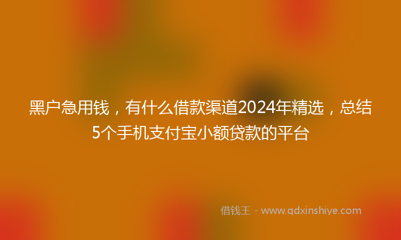 黑户急用钱，有什么借款渠道2024年精选，总结5个手机支付宝小额贷款的平台