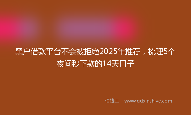 黑户借款平台不会被拒绝2025年推荐，梳理5个夜间秒下款的14天口子