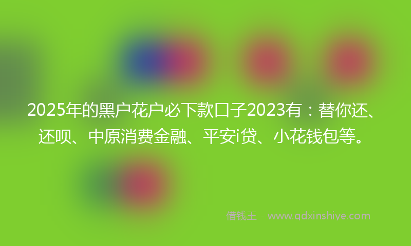 2025年的黑户花户必下款口子2023有：替你还、还呗、中原消费金融、平安i贷、小花钱包等。