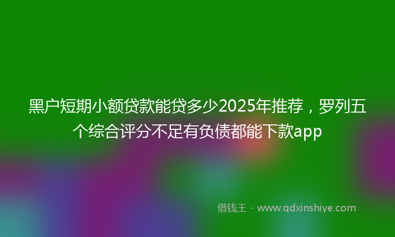 黑户短期小额贷款能贷多少2025年推荐，罗列五个综合评分不足有负债都能下款app