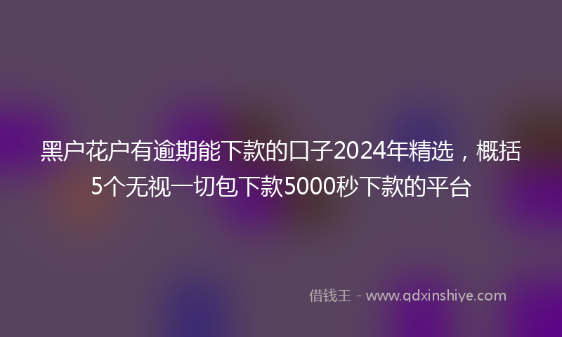 黑户花户有逾期能下款的口子2024年精选，概括5个无视一切包下款5000秒下款的平台