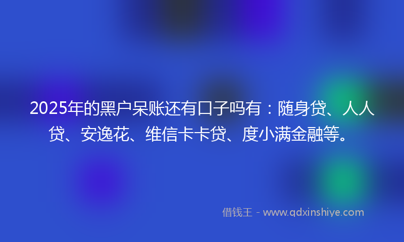 2025年的黑户呆账还有口子吗有：随身贷、人人贷、安逸花、维信卡卡贷、度小满金融等。