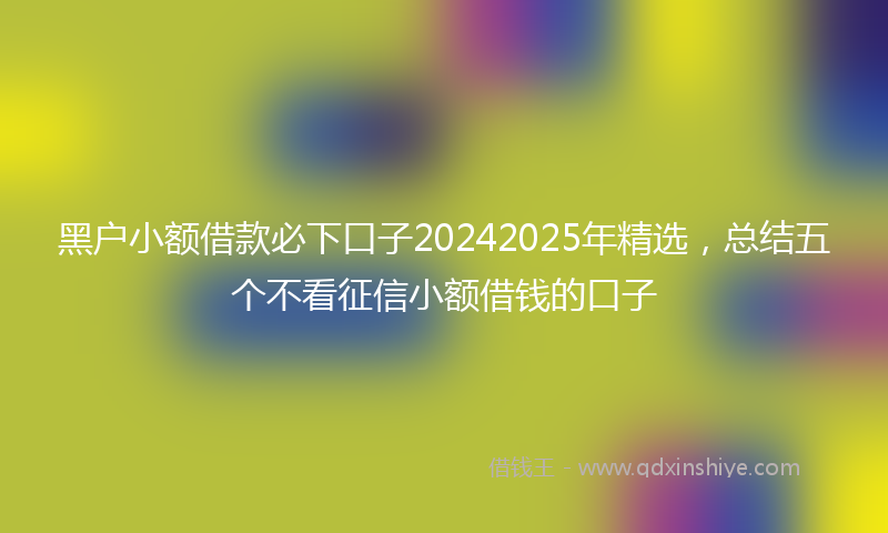 黑户小额借款必下口子20242025年精选，总结五个不看征信小额借钱的口子