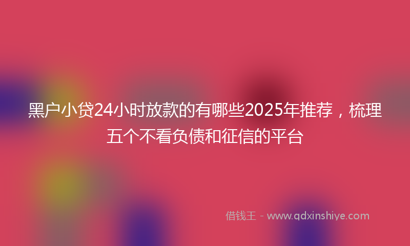 黑户小贷24小时放款的有哪些2025年推荐，梳理五个不看负债和征信的平台