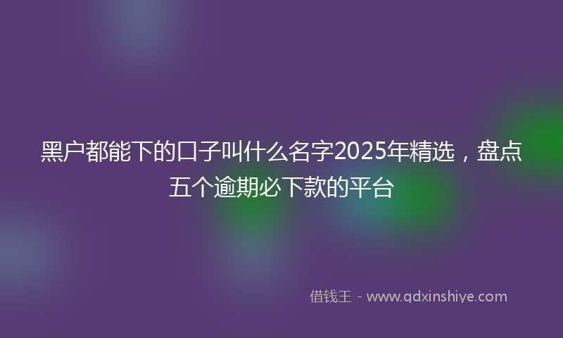 黑户都能下的口子叫什么名字2025年精选，盘点五个逾期必下款的平台