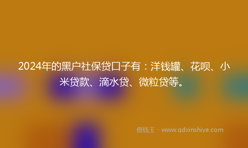 2024年的黑户社保贷口子有：洋钱罐、花呗、小米贷款、滴水贷、微粒贷等。