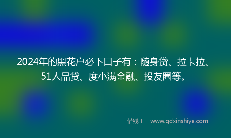 2024年的黑花户必下口子有：随身贷、拉卡拉、51人品贷、度小满金融、投友圈等。