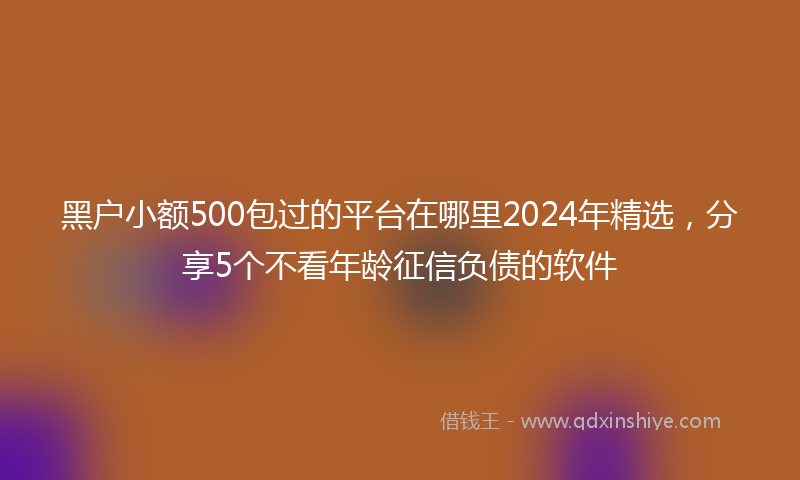 黑户小额500包过的平台在哪里2024年精选，分享5个不看年龄征信负债的软件