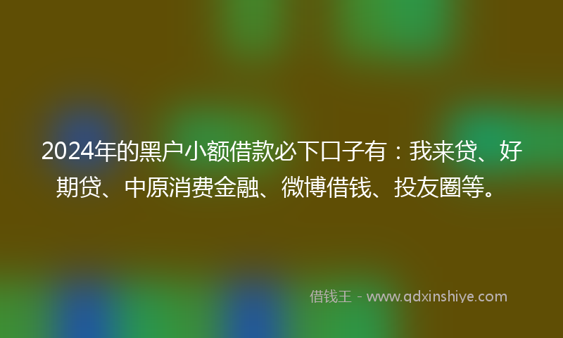 2024年的黑户小额借款必下口子有：我来贷、好期贷、中原消费金融、微博借钱、投友圈等。