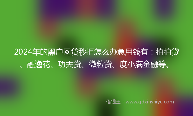 2024年的黑户网贷秒拒怎么办急用钱有：拍拍贷、融逸花、功夫贷、微粒贷、度小满金融等。