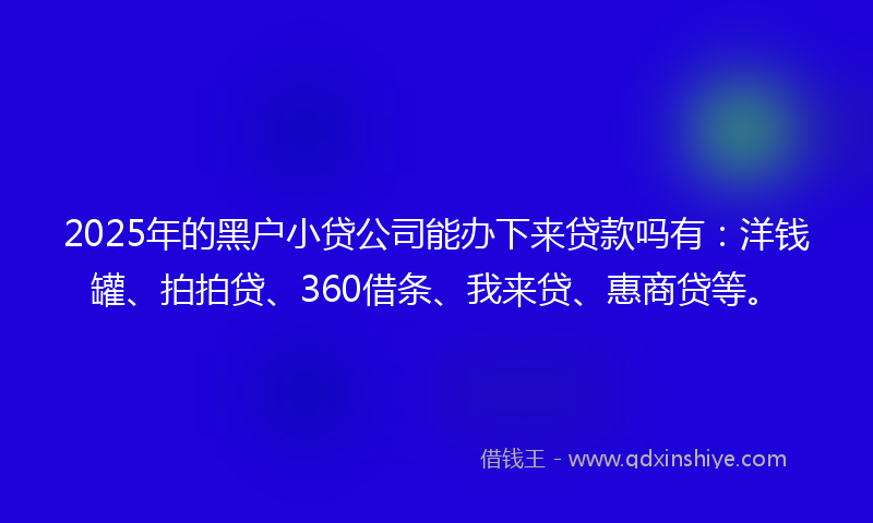2025年的黑户小贷公司能办下来贷款吗有：洋钱罐、拍拍贷、360借条、我来贷、惠商贷等。