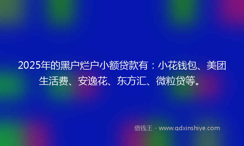 2025年的黑户烂户小额贷款有：小花钱包、美团生活费、安逸花、东方汇、微粒贷等。
