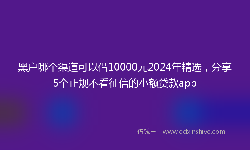 黑户哪个渠道可以借10000元2024年精选，分享5个正规不看征信的小额贷款app