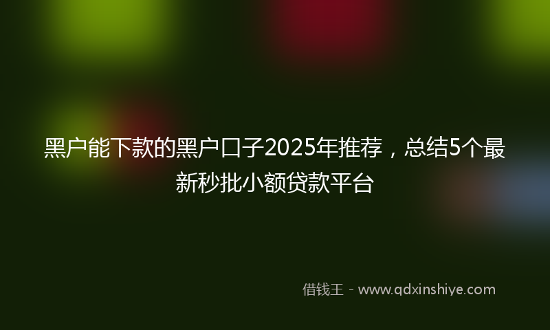 黑户能下款的黑户口子2025年推荐，总结5个最新秒批小额贷款平台