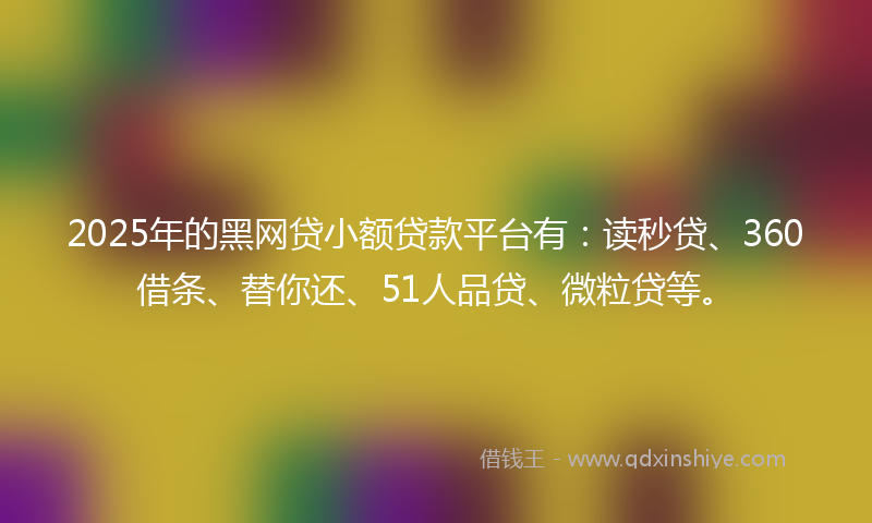 2025年的黑网贷小额贷款平台有：读秒贷、360借条、替你还、51人品贷、微粒贷等。