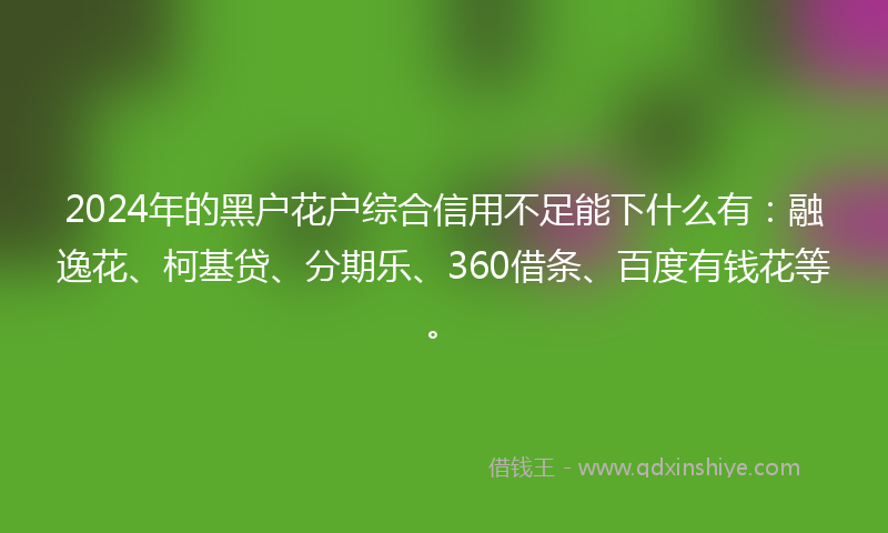 2024年的黑户花户综合信用不足能下什么有：融逸花、柯基贷、分期乐、360借条、百度有钱花等。
