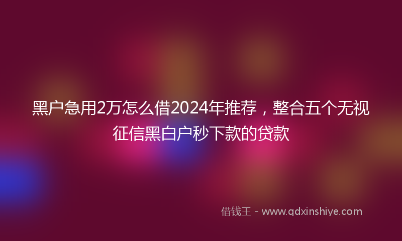 黑户急用2万怎么借2024年推荐，整合五个无视征信黑白户秒下款的贷款