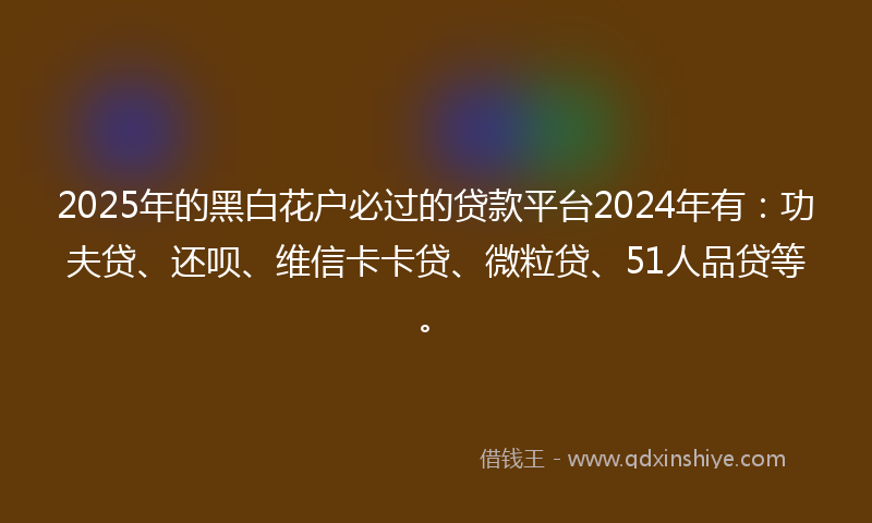 2025年的黑白花户必过的贷款平台2024年有：功夫贷、还呗、维信卡卡贷、微粒贷、51人品贷等。