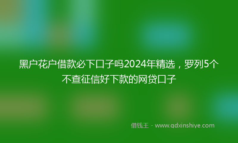 黑户花户借款必下口子吗2024年精选，罗列5个不查征信好下款的网贷口子