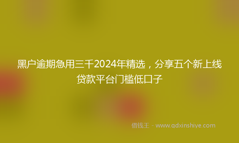 黑户逾期急用三千2024年精选，分享五个新上线贷款平台门槛低口子