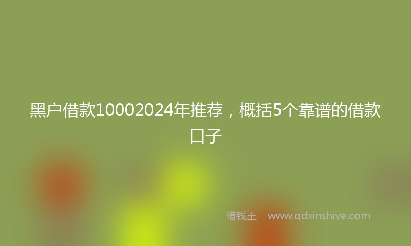 黑户借款10002024年推荐，概括5个靠谱的借款口子