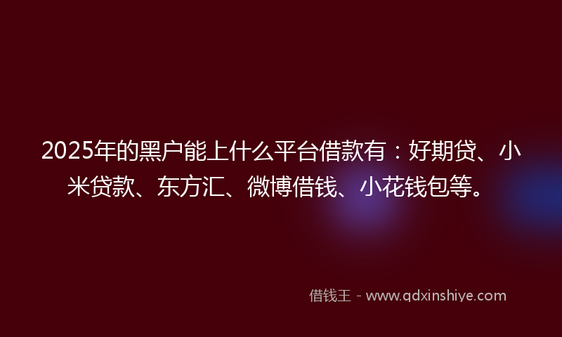 2025年的黑户能上什么平台借款有：好期贷、小米贷款、东方汇、微博借钱、小花钱包等。