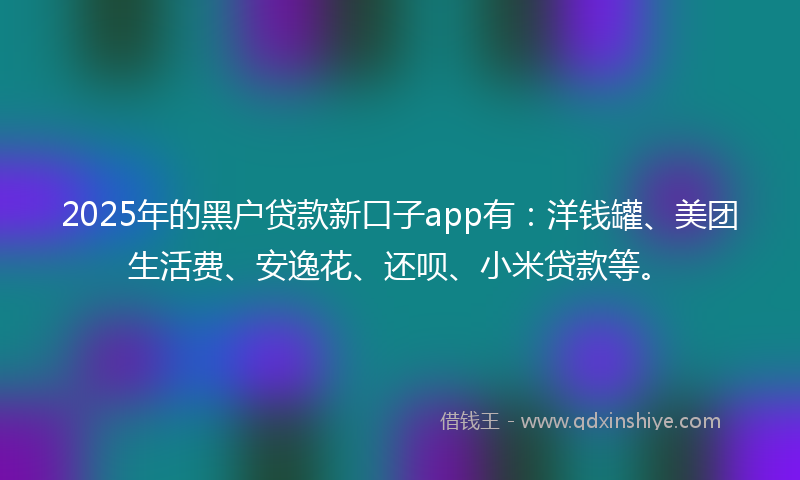 2025年的黑户贷款新口子app有：洋钱罐、美团生活费、安逸花、还呗、小米贷款等。