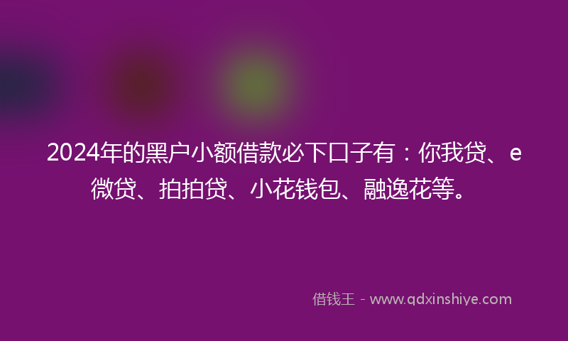 2024年的黑户小额借款必下口子有：你我贷、e微贷、拍拍贷、小花钱包、融逸花等。
