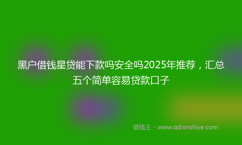 黑户借钱星贷能下款吗安全吗2025年推荐，汇总五个简单容易贷款口子