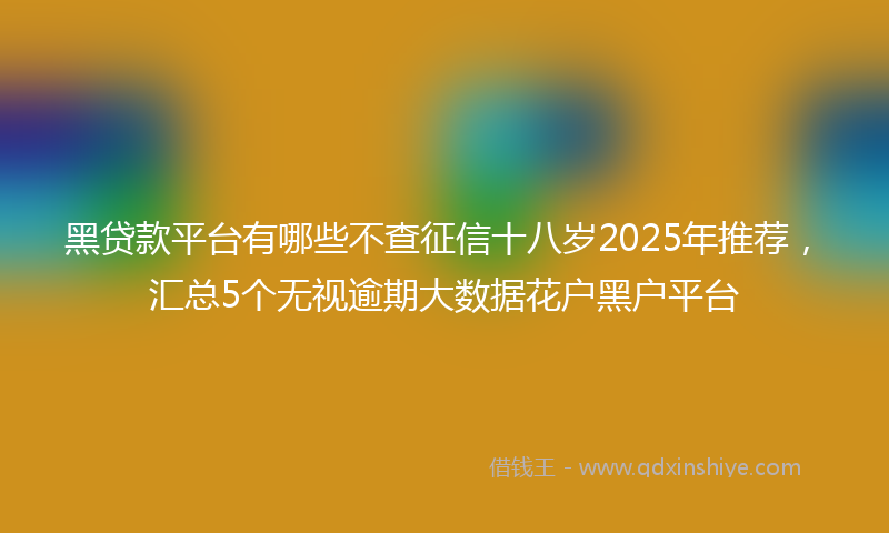 黑贷款平台有哪些不查征信十八岁2025年推荐，汇总5个无视逾期大数据花户黑户平台