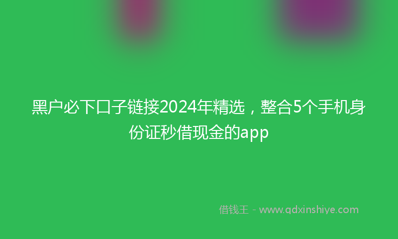 黑户必下口子链接2024年精选，整合5个手机身份证秒借现金的app