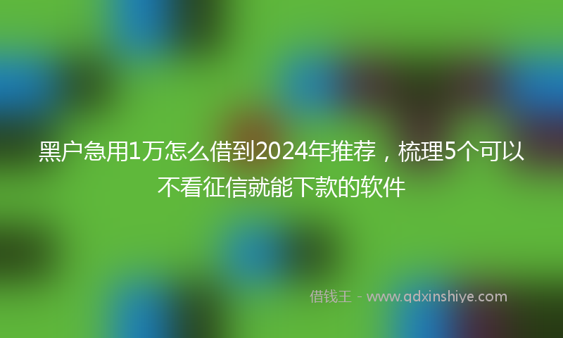 黑户急用1万怎么借到2024年推荐，梳理5个可以不看征信就能下款的软件