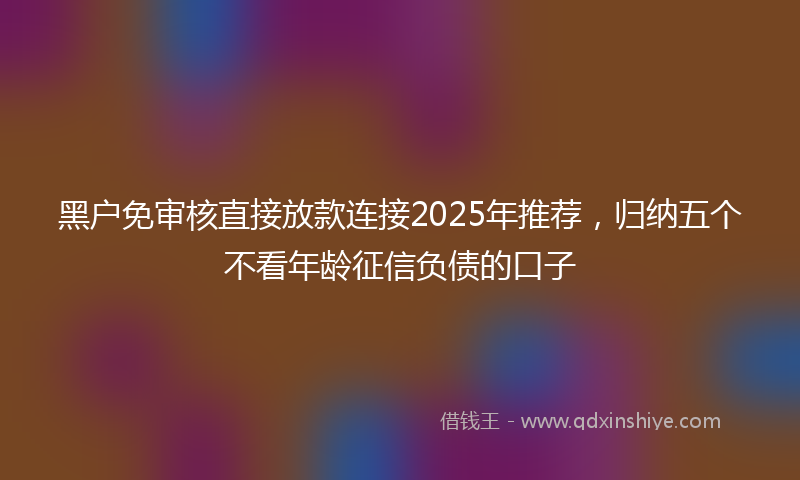 黑户免审核直接放款连接2025年推荐，归纳五个不看年龄征信负债的口子