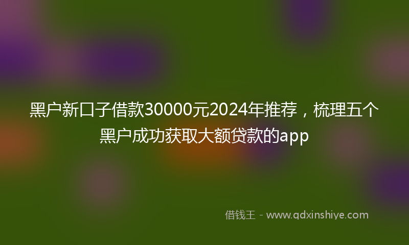 黑户新口子借款30000元2024年推荐，梳理五个黑户成功获取大额贷款的app