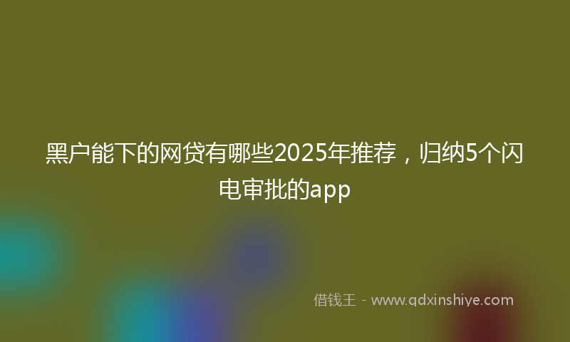 黑户能下的网贷有哪些2025年推荐，归纳5个闪电审批的app