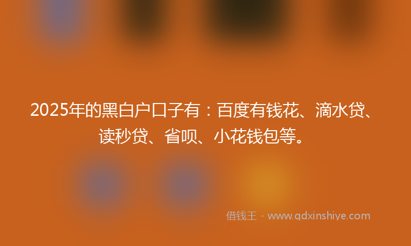 2025年的黑白户口子有：百度有钱花、滴水贷、读秒贷、省呗、小花钱包等。