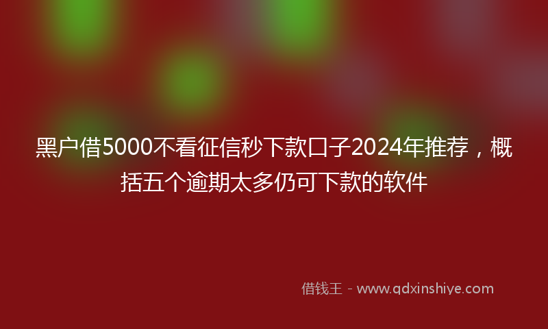 黑户借5000不看征信秒下款口子2024年推荐，概括五个逾期太多仍可下款的软件