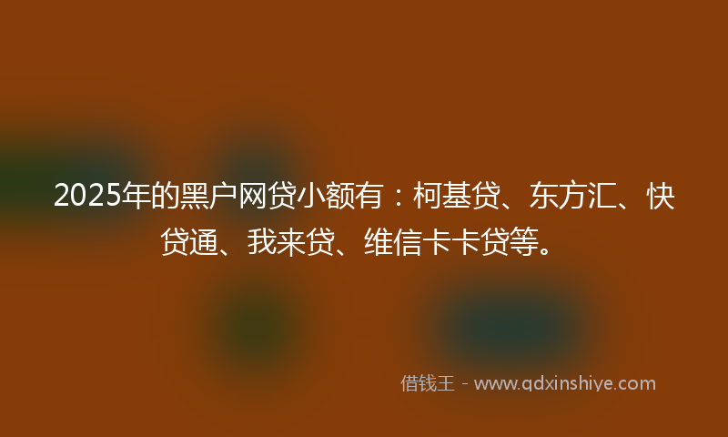 2025年的黑户网贷小额有：柯基贷、东方汇、快贷通、我来贷、维信卡卡贷等。