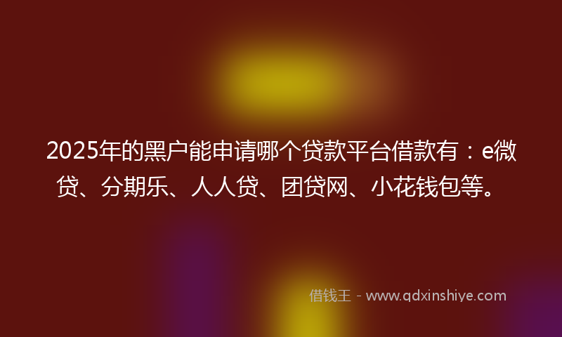 2025年的黑户能申请哪个贷款平台借款有：e微贷、分期乐、人人贷、团贷网、小花钱包等。