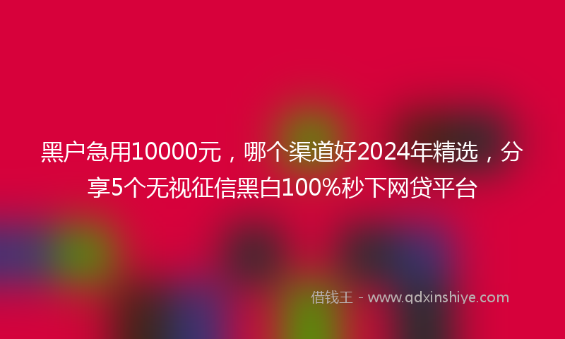黑户急用10000元，哪个渠道好2024年精选，分享5个无视征信黑白100%秒下网贷平台