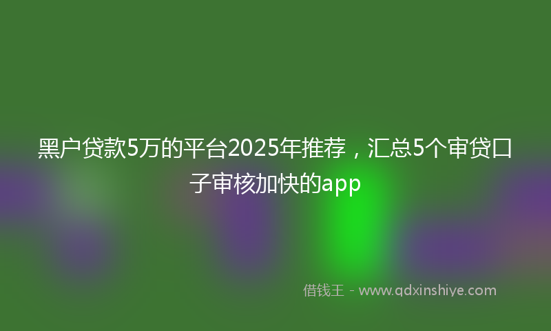 黑户贷款5万的平台2025年推荐，汇总5个审贷口子审核加快的app