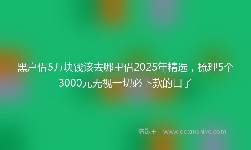 黑户借5万块钱该去哪里借2025年精选，梳理5个3000元无视一切必下款的口子