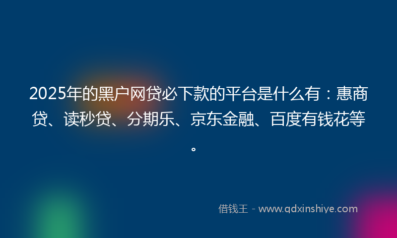2025年的黑户网贷必下款的平台是什么有：惠商贷、读秒贷、分期乐、京东金融、百度有钱花等。